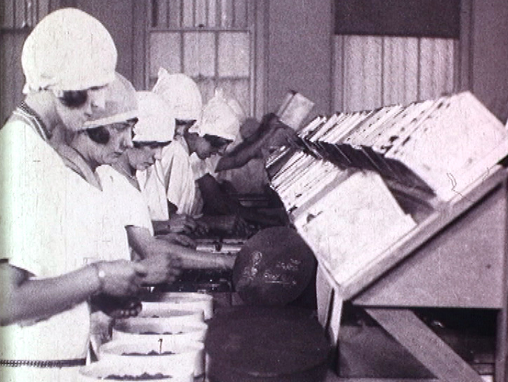 A Visit to Ernest Hillier’s Factory (c1926) clip 1 on ASO - Australia's ...
